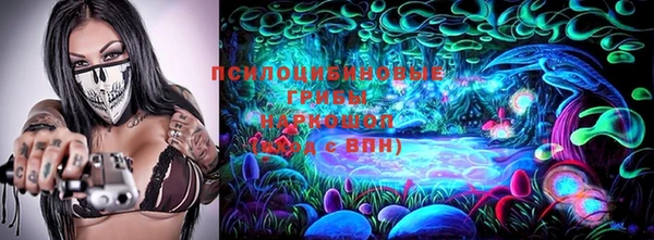 спиды Алзамай